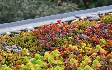 the cost of Catchems Corner green roof installation