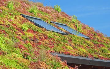 Catchems Corner living roof systems